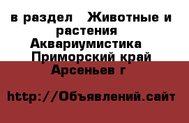  в раздел : Животные и растения » Аквариумистика . Приморский край,Арсеньев г.